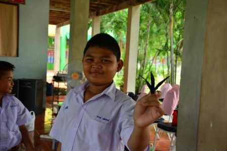 45114126.6bc75d9cbd7241c81961fc8d8898a5aa.19072300